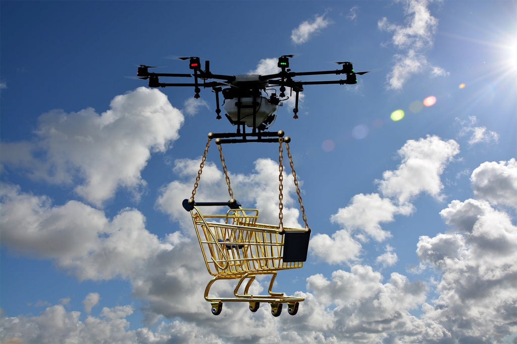 What Drones Can Carry Cargo?